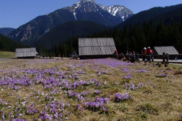 /images/card/atrakcje-stara/dolina-chocholowska.jpg - Willa Bachledówka - Noclegi Zakopane
