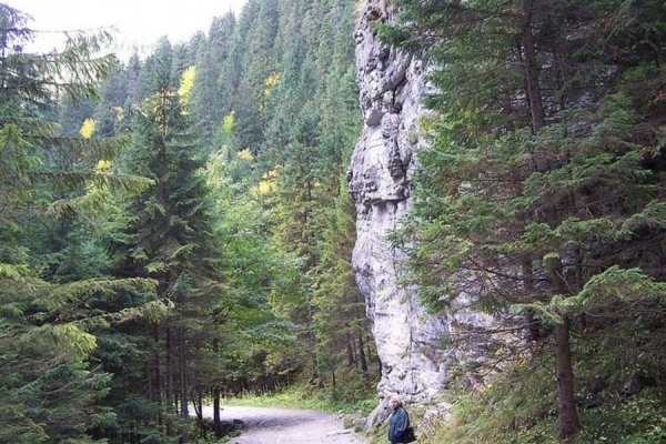 /images/card/atrakcje-stara/dolina-koscieliska.jpg - Willa Bachledówka - Noclegi Zakopane