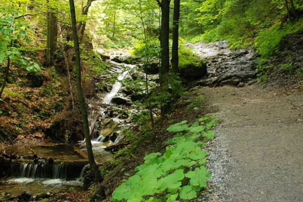 /images/card/atrakcje-stara/dolina-za-bramka.jpg - Willa Bachledówka - Noclegi Zakopane