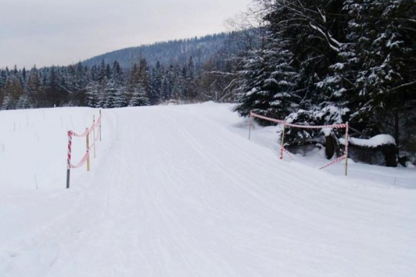 /images/card/atrakcje-stara/trasy-biegowe.jpg - Willa Bachledówka - Noclegi Zakopane