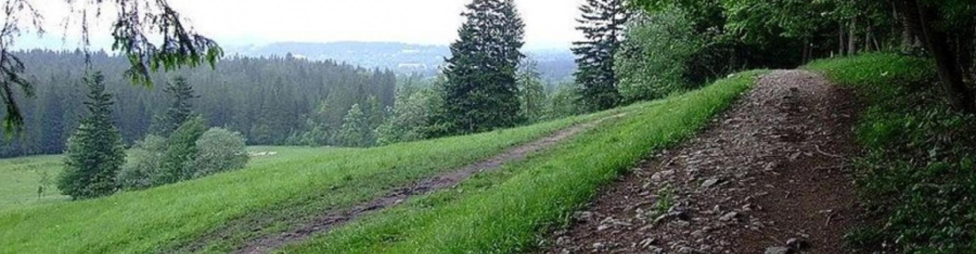 Ścieżka Pod Reglami